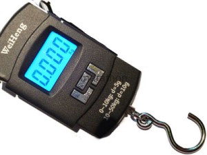 WAGA ELEKTRONICZNA CYFROWA HAKOWA DO 50KG WROCŁAW