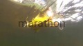 eb5afc3d4c8d95d419518bf4ca42