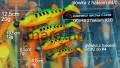 c66e51834bbba001671bafbfbd45