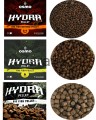 hydra.jpg