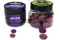 alien 2.jpg